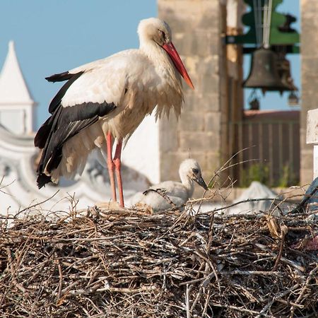 Olhão Stork Hostel מראה חיצוני תמונה